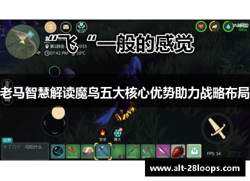 老马智慧解读魔鸟五大核心优势助力战略布局