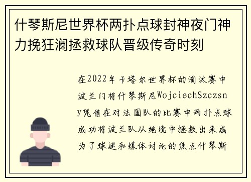 什琴斯尼世界杯两扑点球封神夜门神力挽狂澜拯救球队晋级传奇时刻